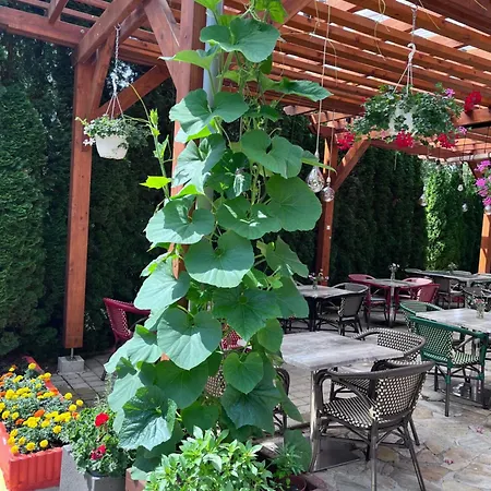 Loving Hut & Vegan Restaurant Sankt Kanzian am Klopeiner See