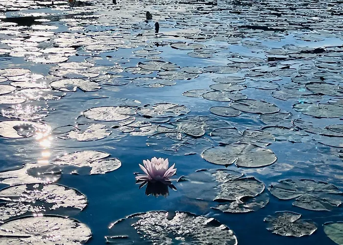 Loving Hut & Restaurant Guest house Sankt Kanzian am Klopeiner See