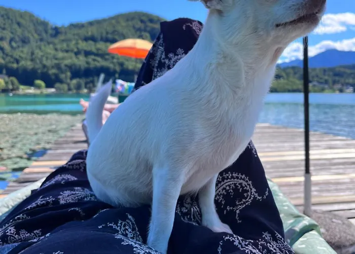 Loving Hut & Restaurant Guest house Sankt Kanzian am Klopeiner See